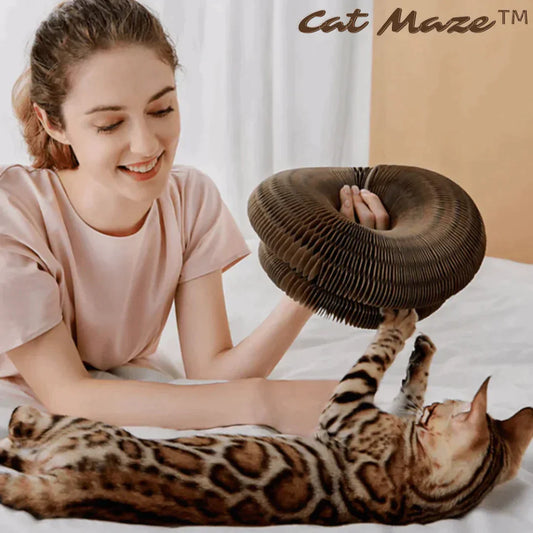 Cat Maze™ Katzenspielzeug - Aktiv & fit halten - Robustes Wellpappe-Design - 24x24x10cm